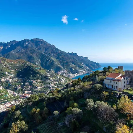 Da Clara - Vintage *