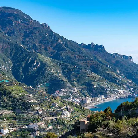 Da Clara - Vintage *